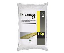 K-EXPRESS ZF