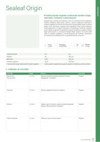 Pagina catalogo