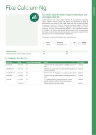 Pagina catalogo