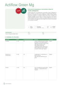 Pagina catalogo