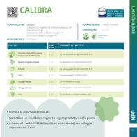 Pagina catalogo