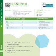 Pagina catalogo