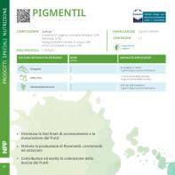 Pagina catalogo