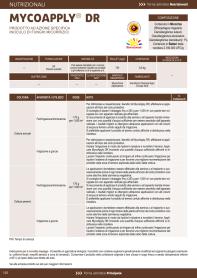 Pagina catalogo