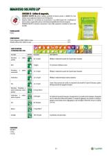 Pagina catalogo