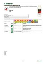 Pagina catalogo