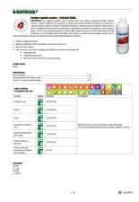 Pagina catalogo