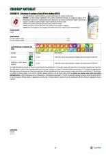 Pagina catalogo