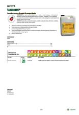 Pagina catalogo