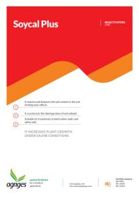 Technical datasheet