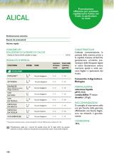 Pagina catalogo