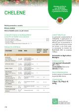 Pagina catalogo