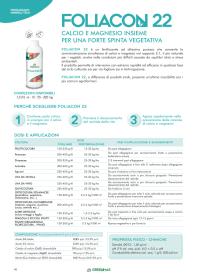 Pagina catalogo