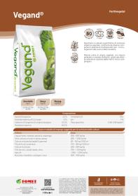 Pagina catalogo