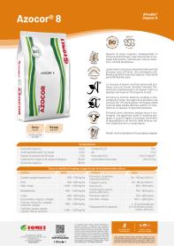 Pagina catalogo