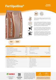 Pagina catalogo