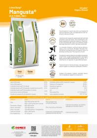 Pagina catalogo