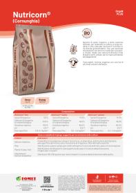 Pagina catalogo