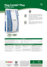 Pagina catalogo