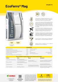 Pagina catalogo