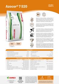 Pagina catalogo