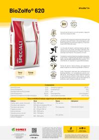 Pagina catalogo