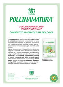 Pagina catalogo