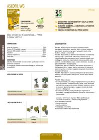 Pagina catalogo