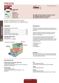 Pagina catalogo