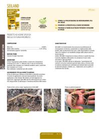 Pagina catalogo