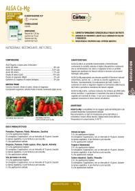 Pagina catalogo