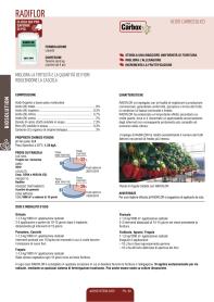 Pagina catalogo