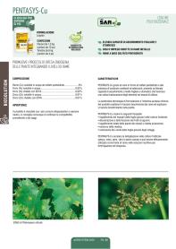 Pagina catalogo