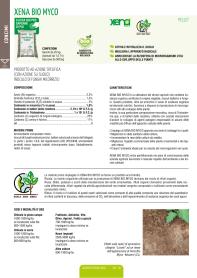 Pagina catalogo