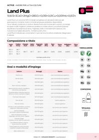 Pagina catalogo