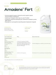 Pagina catalogo