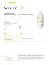 Pagina catalogo