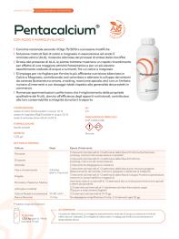 Pagina catalogo
