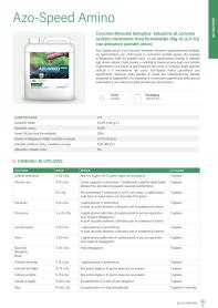 Pagina catalogo