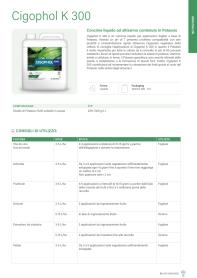 Pagina catalogo